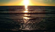 迎接2021年的句子