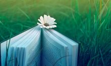 写给2021更好的自己的