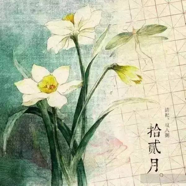 12月,可爱的句子适合朋友圈