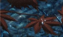 让你心动的高质量文案