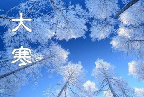 2020年大冷却问候