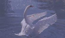 描写暑夏炎热心烦的句子