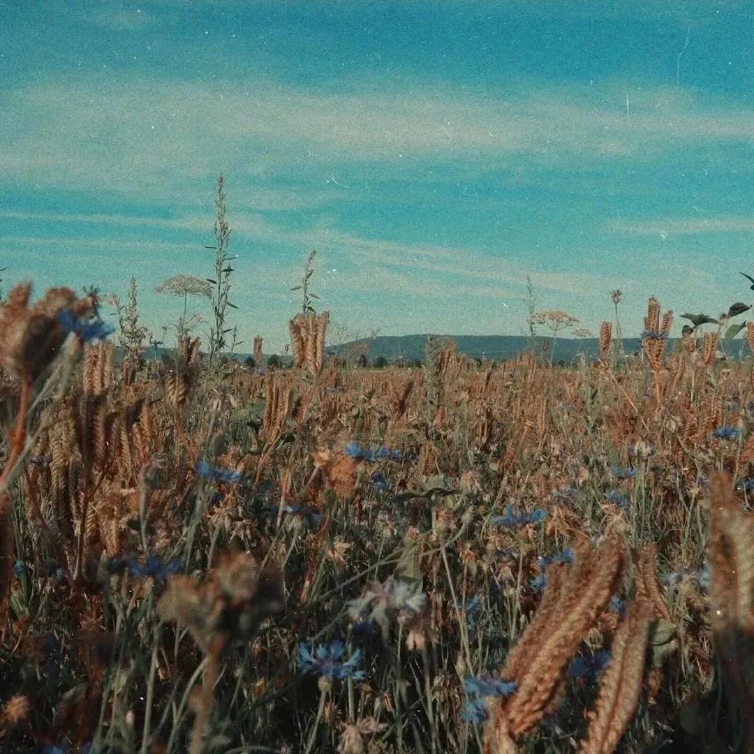 三维超级普通温暖心脏写作案例2