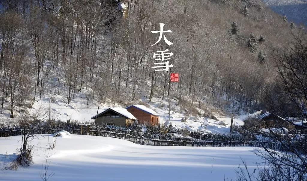 斯诺伊雪问候1