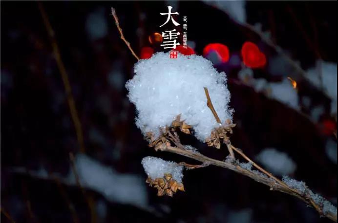 斯诺伊呼吸问候2