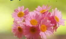 朋友圈正能量文字说说