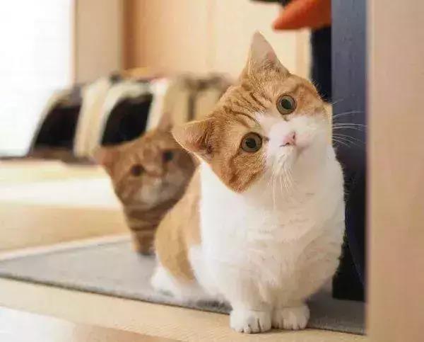 合适的经典短句1