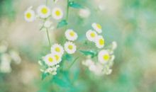 冬天适合发朋友圈温柔短句