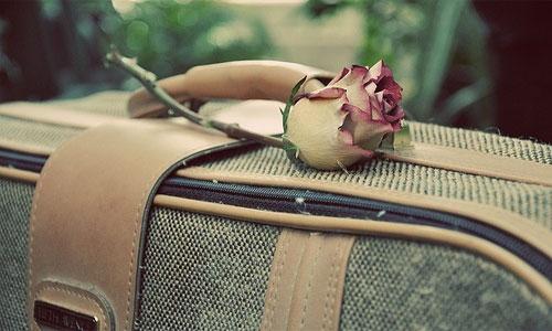 15.上个月剩下的20120年，我希望您的愿望可以实现。