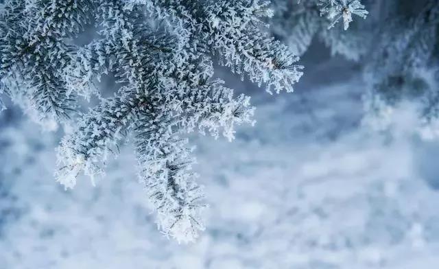 15,大雪季,所有隐藏的东西。生物营养,早睡。收敛,无冬季干燥。各种温差,适当的运动。风很大,请不要外出。饮食护士,喝更多的热汤。强壮而强烈,祝你健康。