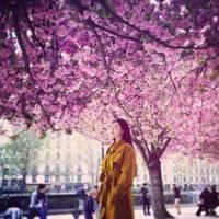 描述夏日的热度