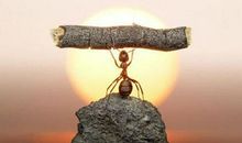 2020激励团队口号