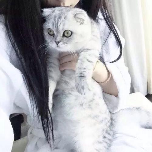 我想到了我的生活。我真的有匆忙！通知父母争吵离婚，每个人都有另一个额外的孩子。我就像一个不必要的成功者。看着他们家人的音乐。每次听到潘梅，我都不想被我的眼泪掉下来。我终于结婚了，认为有一个家，但我没想到它是我的愿望。有一个家庭真的很难吗？