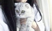 爸妈离婚女儿心烦的句子