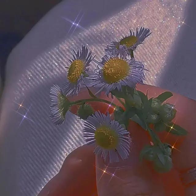 收集评论区文的文字清洁美丽1