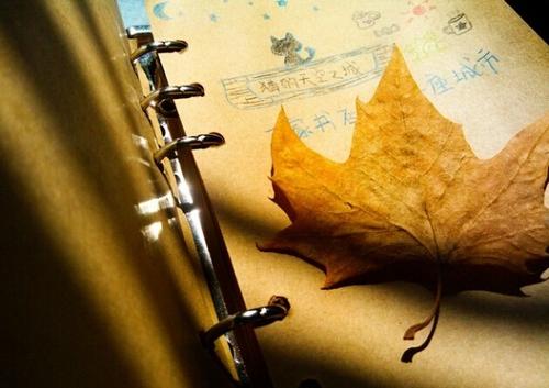 我每天都感到疯狂的判决。