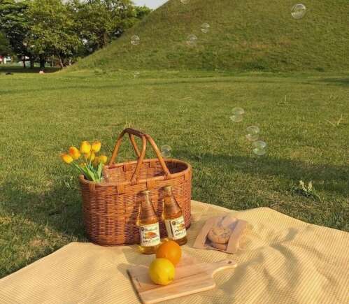 文件文案生命生活