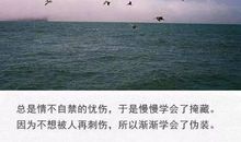 朋友圈伤感的句子大全唯美