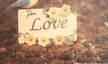 送给女朋友的跨年句