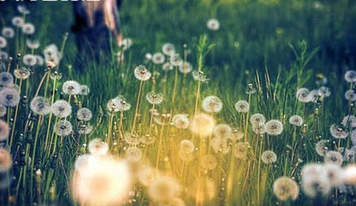 可以让男人幸福句子