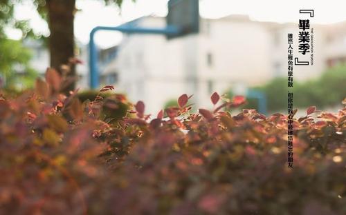 也许你今天花了悲伤和悲伤。但是，无论多么糟糕，祝你和每个包括每个人都可以抛弃不快乐的过去的人，再次开始。