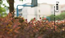 安慰心烦的暖心句子说说心情短语