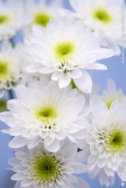 12,你真的不知道我们有多累!我已成为一个雌男人的小萝莉:手臂被抬起,有肌肉。日常工作!