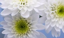 上班累的不开心的句子