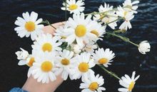 怀孕的快乐开心句子