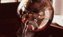 表达喜欢一个人的网名