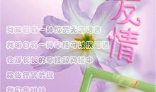 友情英语句子唯美简短