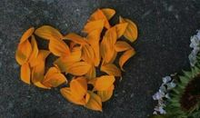 又A又酷的拽句文案