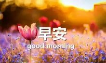 12月早安语发朋友圈