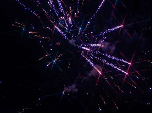 12月31日,新年的文案树蜻蜓治疗新年的文案