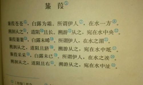 两个词诗歌网络名称