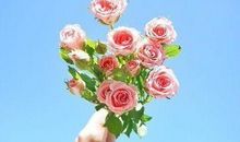 朋友圈唯美描写意境的句子