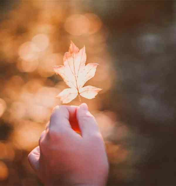 对于家人不安句子1