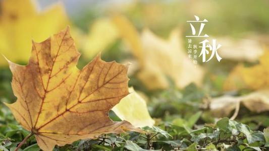 紧急肚子，一个美丽的句子1