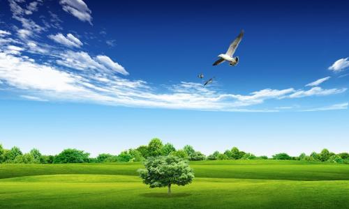 15，让你的工作使用冷机器人，释放你的身体;让你的生活利用幸福，释放你的思想;让你内心的爱我的爱，放开你的爱，让我进来。