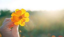 形容感恩生活的句子