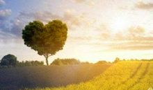 暖心求婚的开心句子