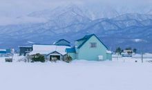 下雪时的心情的句子