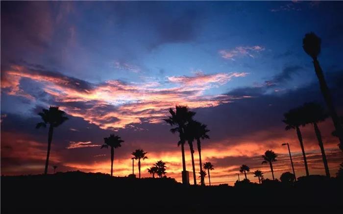 20,让你有,我的生活充满了幸福,让我们今晚去吃晚餐?