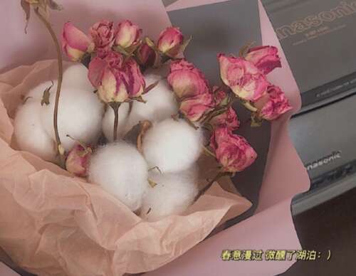 年轻的柔和文本的光