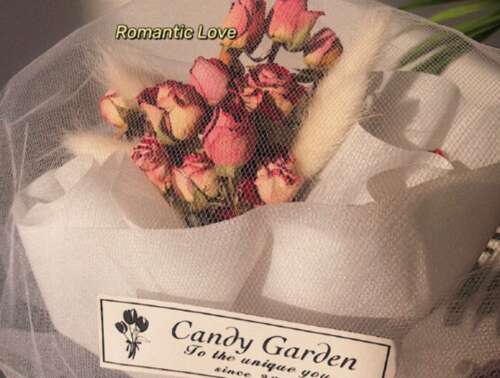 世界温柔的文本案例1