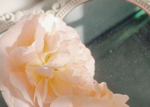 值得一份文学和惊人的句子1