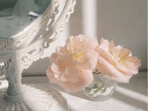 值得文学艺术和惊人的句子2