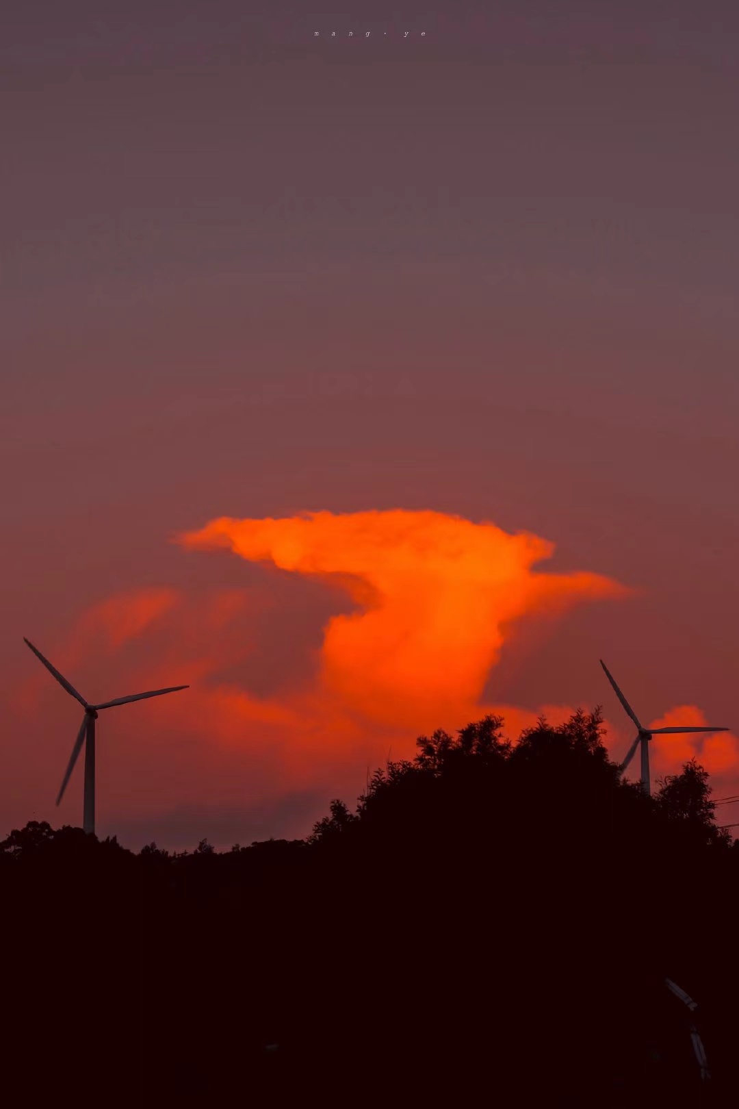 失落的病人悲伤的句子1