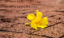 朋友圈秒赞简短说说