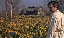 日瓦戈医生的经典语录